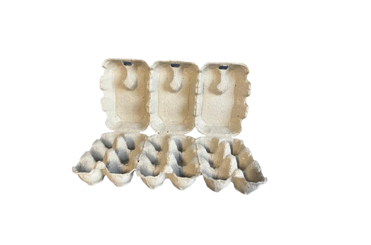 Eierkartons aus geformter Zellulose 3x6 Pick&Pack M/L